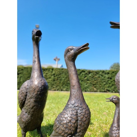 A duck family - group of bronze ducks - runner ducks - Bronze garden sculptures - bronze geese - pond decoration