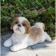 Shih Tzu Lying Down Statue