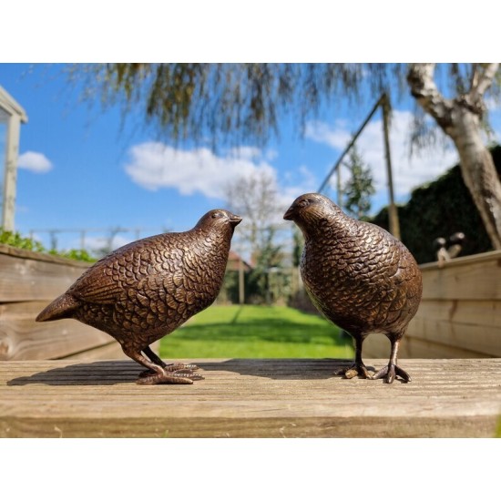 Pair of bronze birds - Garden  ornaments - Bronze quail