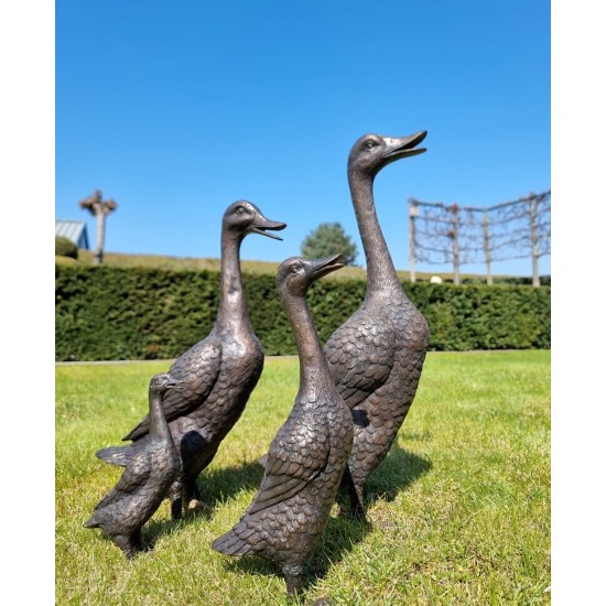 A duck family - group of bronze ducks - runner ducks - Bronze garden sculptures - bronze geese - pond decoration