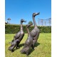 A duck family - group of bronze ducks - runner ducks - Bronze garden sculptures - bronze geese - pond decoration
