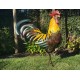 Large iron rooster - Decorative Rooster - Metal garden animals - Garden and patio inspiration