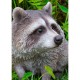 Raccoon Sitting Statue