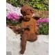 Antique garden sculpture of an Angel (boy) - Sitting model