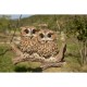 Hanging Baby Owlets on a Branch