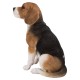 Beagle Dog Sitting Statue
