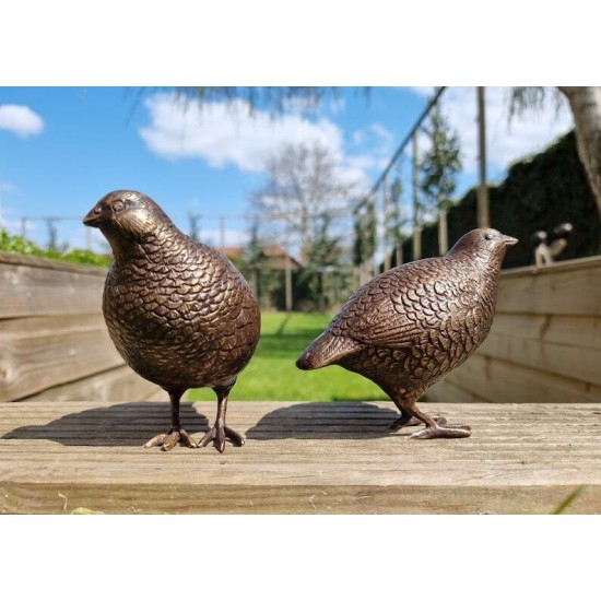 Pair of bronze birds - Garden  ornaments - Bronze quail