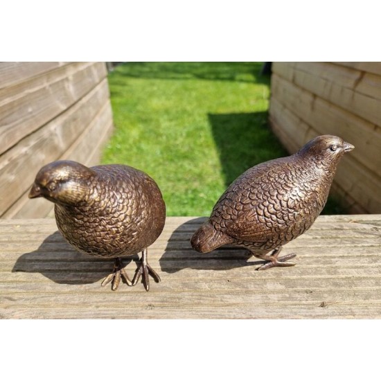 Pair of bronze birds - Garden  ornaments - Bronze quail
