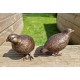 Pair of bronze birds - Garden  ornaments - Bronze quail