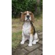 Beagle Dog Sitting Statue