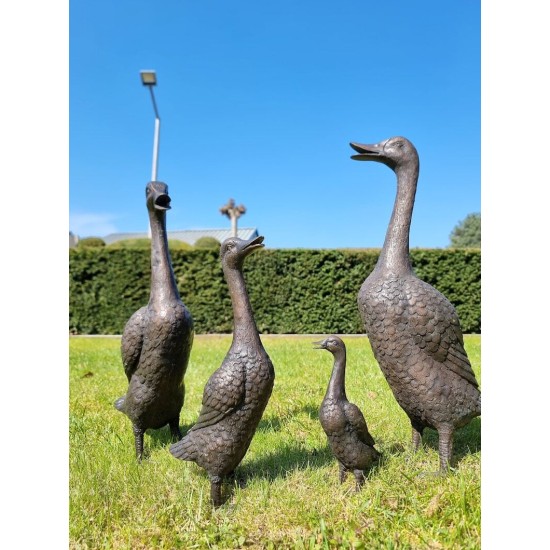 A duck family - group of bronze ducks - runner ducks - Bronze garden sculptures - bronze geese - pond decoration