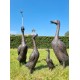 A duck family - group of bronze ducks - runner ducks - Bronze garden sculptures - bronze geese - pond decoration
