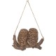 Hanging Baby Owlets on a Branch