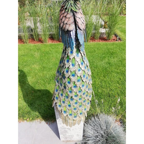 Xl iron peacock - Amazing detail and beautiful colours