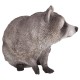 Raccoon Sitting Statue