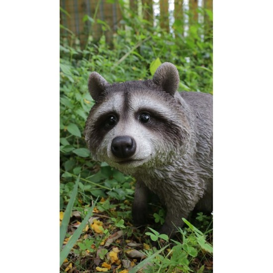 Raccoon Sitting Statue