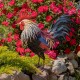 27"Chester" Hand-Painted Rooster Statue