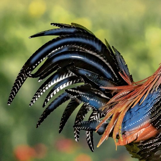 27"Chester" Hand-Painted Rooster Statue