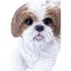 Shih Tzu Lying Down Statue
