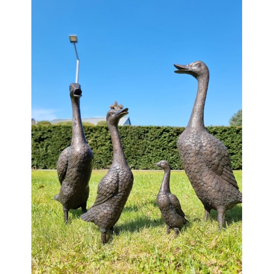 A duck family - group of bronze ducks - runner ducks - Bronze garden sculptures - bronze geese - pond decoration