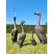 A duck family - group of bronze ducks - runner ducks - Bronze garden sculptures - bronze geese - pond decoration