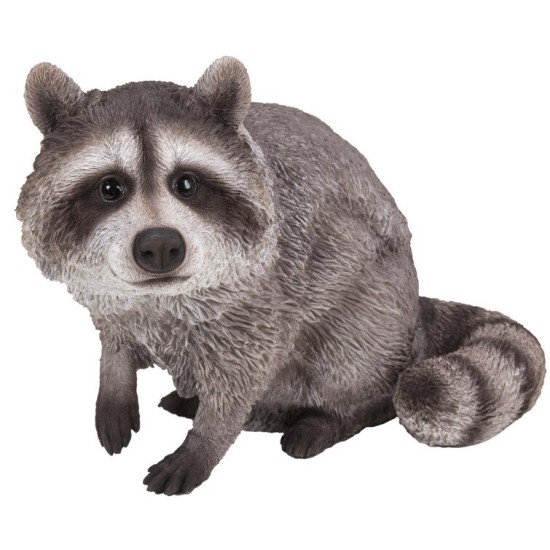 Raccoon Sitting Statue