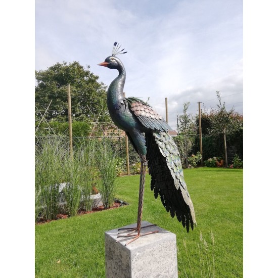 Xl iron peacock - Amazing detail and beautiful colours