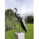 Xl iron peacock - Amazing detail and beautiful colours