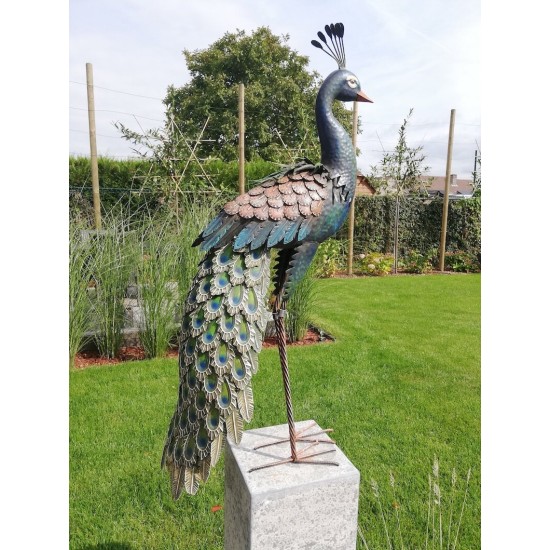 Xl iron peacock - Amazing detail and beautiful colours