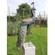 Xl iron peacock - Amazing detail and beautiful colours