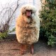 Handcrafted Sheep Stool