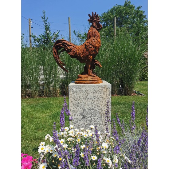 Large Cast iron rooster - Garden statue - Cast iron garden sculptures