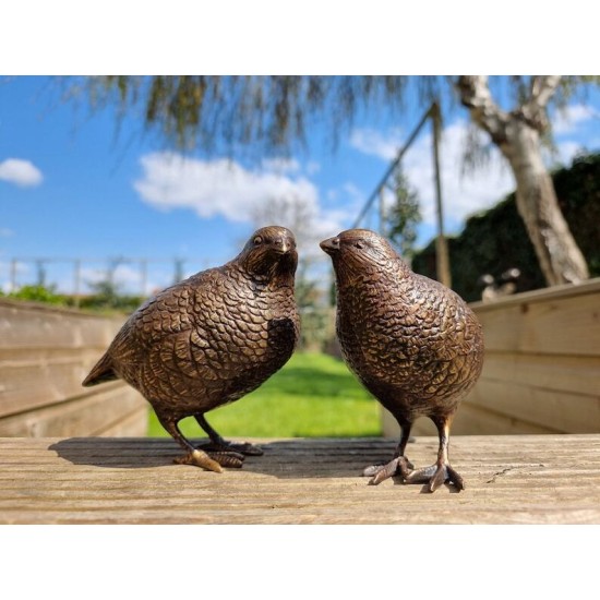 Pair of bronze birds - Garden  ornaments - Bronze quail