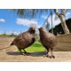 Pair of bronze birds - Garden  ornaments - Bronze quail