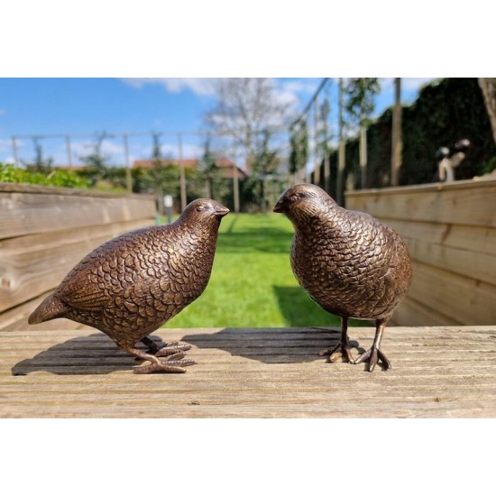 Pair of bronze birds - Garden  ornaments - Bronze quail