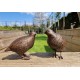 Pair of bronze birds - Garden  ornaments - Bronze quail