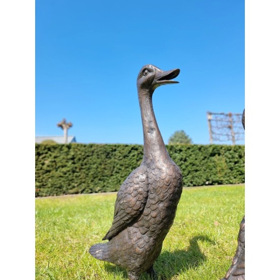 A duck family - group of bronze ducks - runner ducks - Bronze garden sculptures - bronze geese - pond decoration