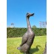 A duck family - group of bronze ducks - runner ducks - Bronze garden sculptures - bronze geese - pond decoration