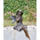 Gracefull Bronze fairy - Windowsill fairy - Sitting pixie with butterflly - Forest fairy - Angel figurines