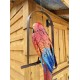 Hanging Whimsical Rustic Metal Swinging Macaw Parrot Tropical Bird On Chain Yard Garden Art