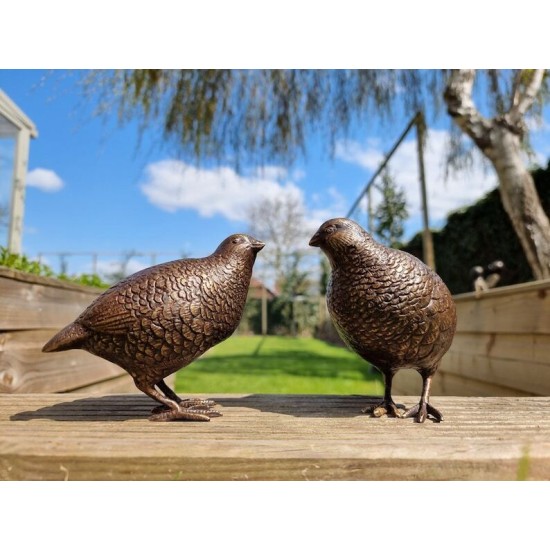 Pair of bronze birds - Garden  ornaments - Bronze quail