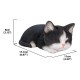 Tabby Kitten Sleeping Statue