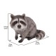 Raccoon Sitting Statue