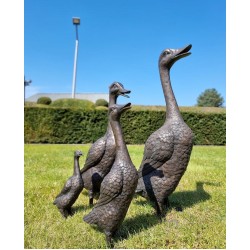 A duck family - group of bronze ducks - runner ducks - Bronze garden sculptures - bronze geese - pond decoration