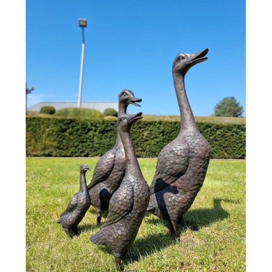 A duck family - group of bronze ducks - runner ducks - Bronze garden sculptures - bronze geese - pond decoration