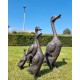 A duck family - group of bronze ducks - runner ducks - Bronze garden sculptures - bronze geese - pond decoration