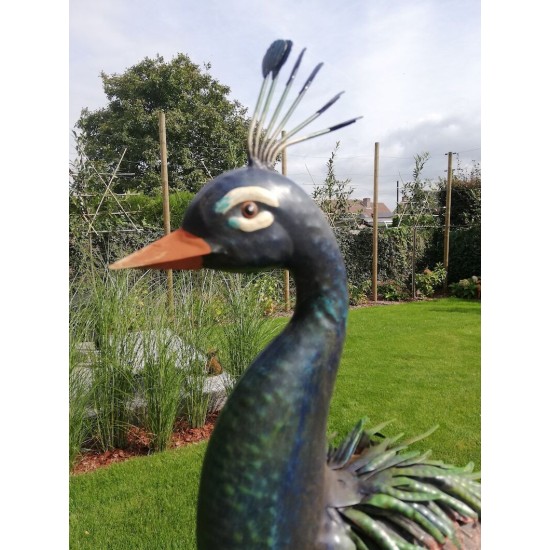 Xl iron peacock - Amazing detail and beautiful colours