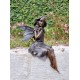 Gracefull Bronze fairy - Windowsill fairy - Sitting pixie with butterflly - Forest fairy - Angel figurines