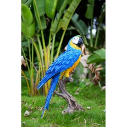Macaw Statue