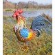 Large iron rooster - Decorative Rooster - Metal garden animals - Garden and patio inspiration